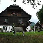 Harreiterhof Отель *