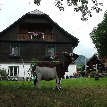Harreiterhof Hotel *