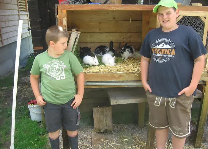 Harreiterhof Отель Айх