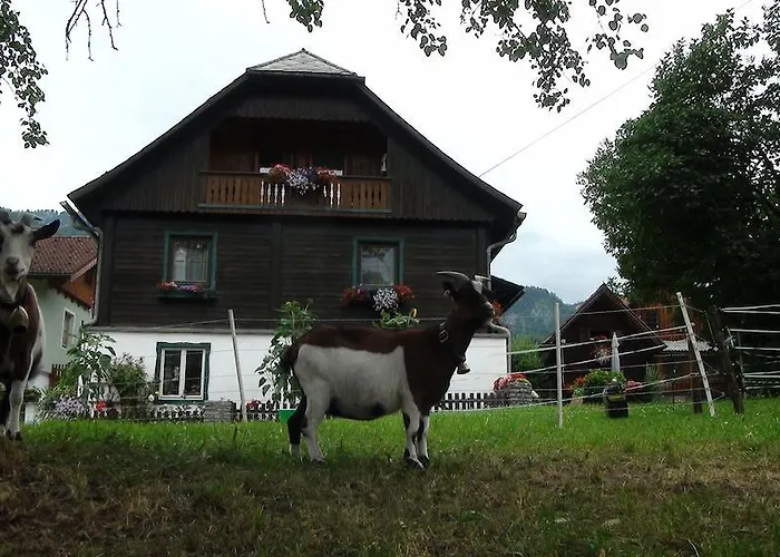 Harreiterhof Отель *